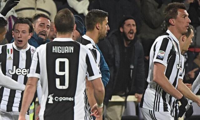 杨瀚森工作室：专注与热情的融合（杨瀚森工作室：专注与热忱的交融）